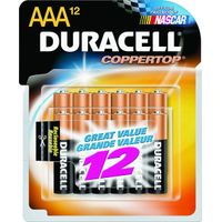 Pilas alcalinas Duracell AAA x12