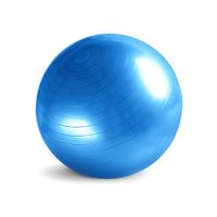 Bola de gimnasio Liveup Sport 55 cm + inflador