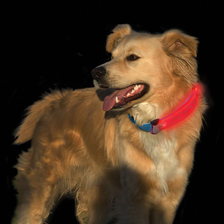 Imagen 2 del producto Cubierta para collar de mascota LED, color rosado, adaptable a collares de 1"", brilla con luz roja, 2 modos de iluminación (fijo y flash)
