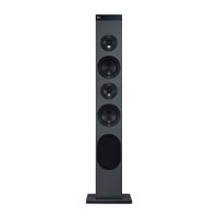 Parlante bluetooth LG Xboom RL3 130W, Hi-res audio, radio FM, control remoto