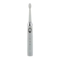 Cepillo de dientes eléctrico Sec recargable
