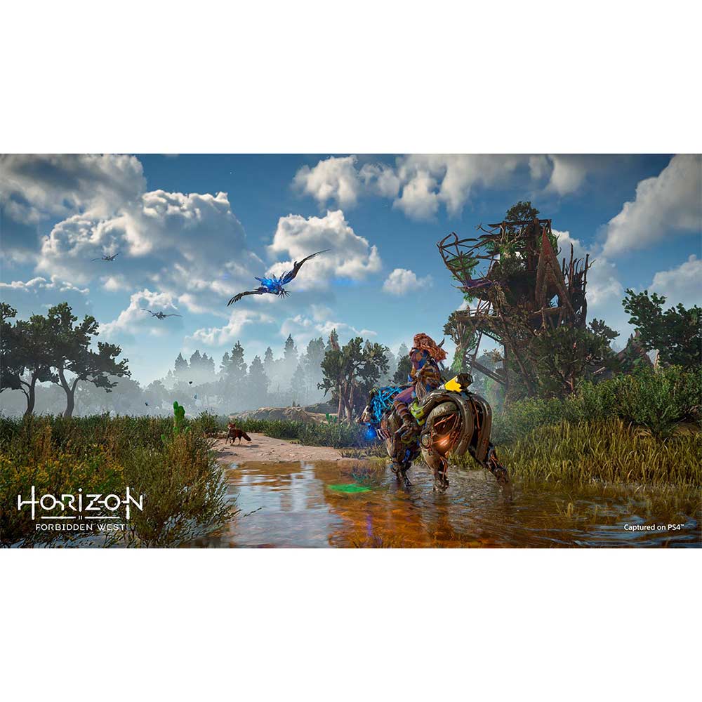 Imagen 2 del producto Horizon Forbidden West - Playstation 4 (PS4)