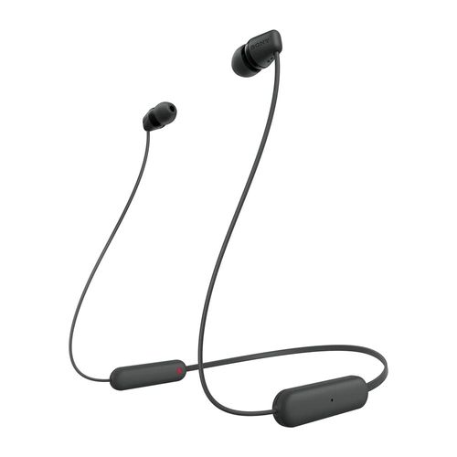 Ear