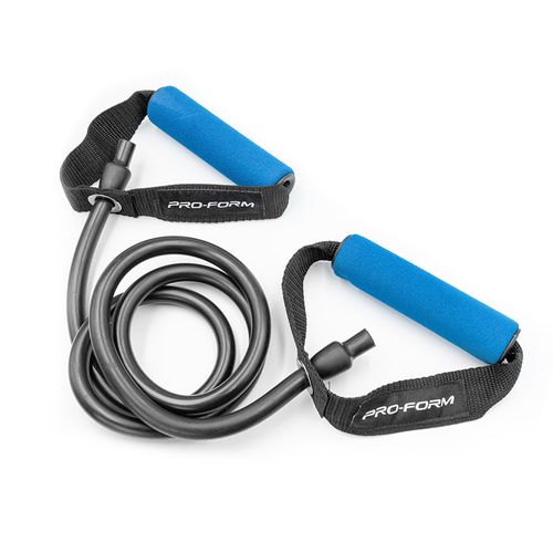 Elasticas