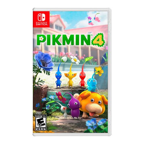 Nintendo