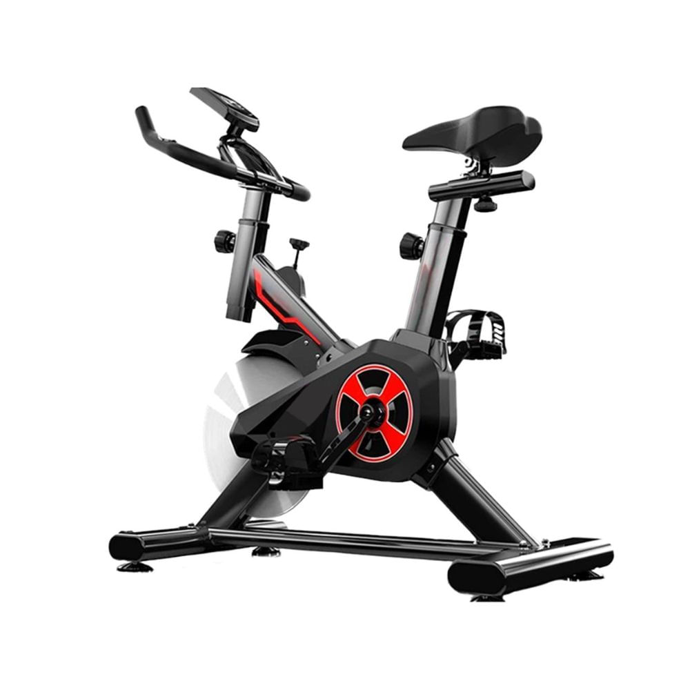 Bicicleta de spinning Sport Fitness, máx 85 kg, gris