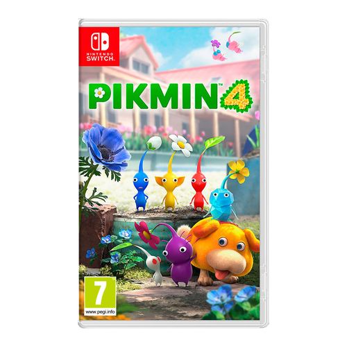 Nintendo