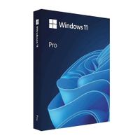 Sistema operativo Microsoft Windows 11 Professional, 1 dispositivo