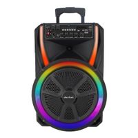 Parlante torre bluetooth Decibel, altavoces de 12'', 100W, luces LED, FM, SD, USB, AUX, control remoto (reempacado)