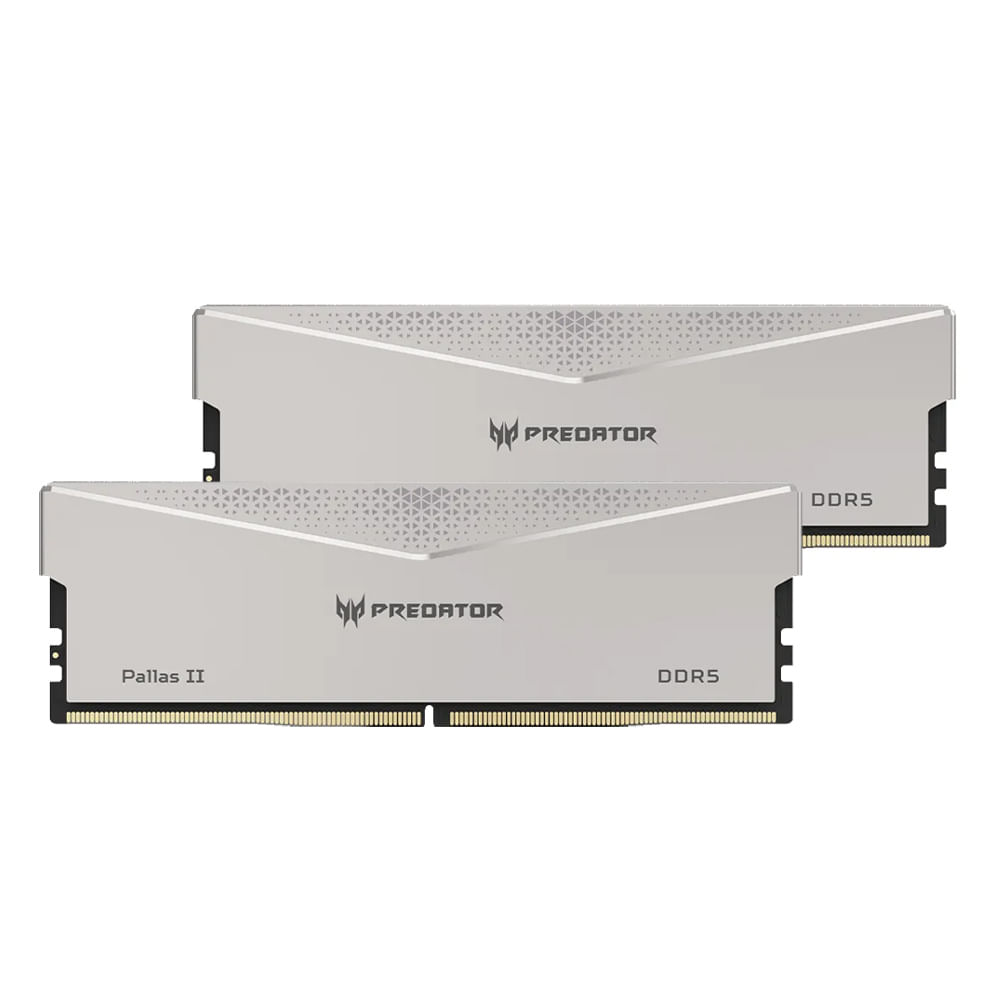 Memoria Ram Predator Palas II 32GB (16GBx2) DDR5, 6000MT/S, plata