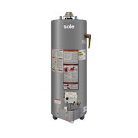 Termotanque Sole 3121TSAN180C 180 litros c/acc, GN, tipo B, gris