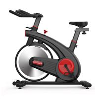 Bicicleta de spinning Z500 Pro, peso máximo 200kg, pedal antideslizante, negro