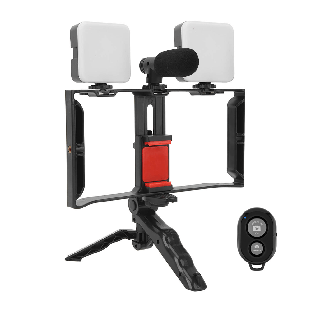 Imagen 2 del producto Kit de video para vlogger KREED AY-49X, jaula con 2 reflectores LED, micrófono para celular, negro