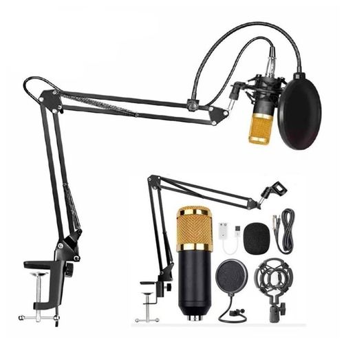 Micrófono profesional Dreizt condensador Bm800, estudio, dorado