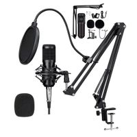 Micrófono profesional Dreizt Bm800, condensador, estudio, negro