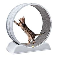 Rueda giratoria de ejercicio para gatos, fomenta la actividad física y mental, segura y resistente