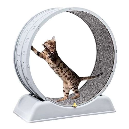 Rueda giratoria de ejercicio para gatos, fomenta la actividad física y mental, segura y resistente