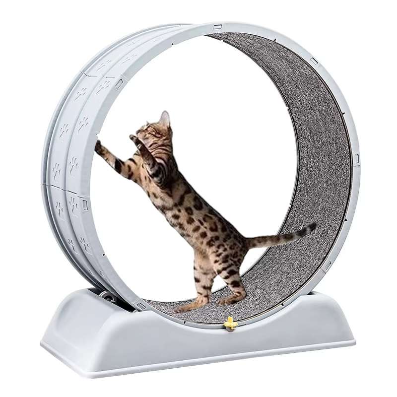 Rueda giratoria de ejercicio para gatos, fomenta la actividad física y mental, segura y resistente