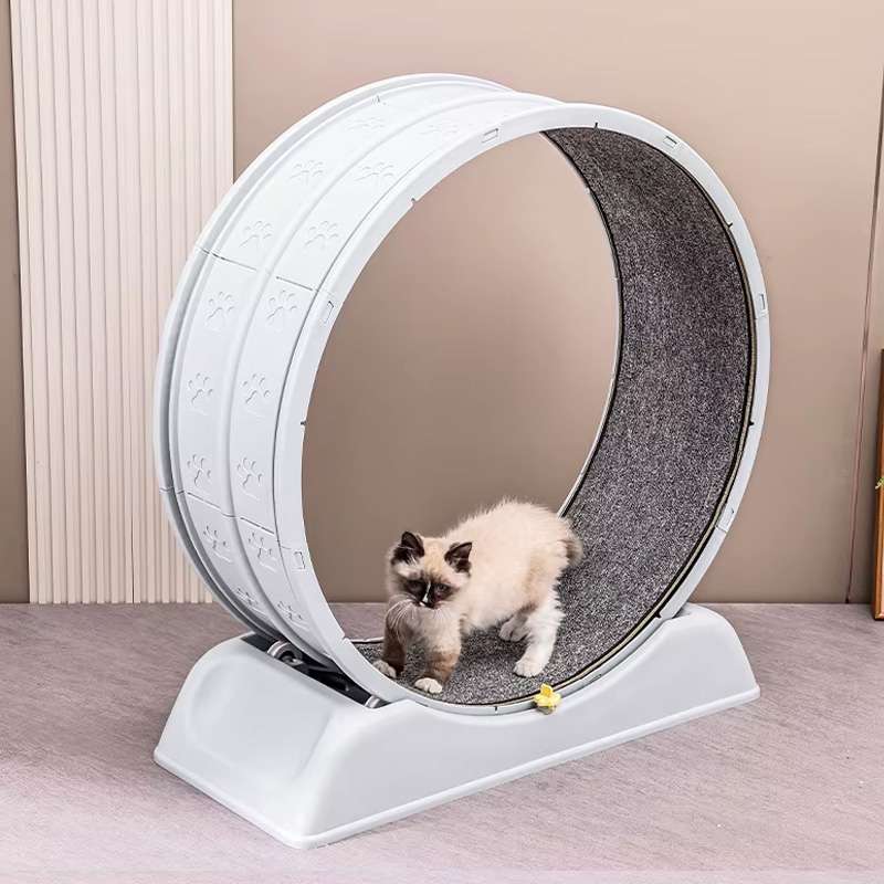 Imagen 2 del producto Rueda giratoria de ejercicio para gatos, fomenta la actividad física y mental, segura y resistente