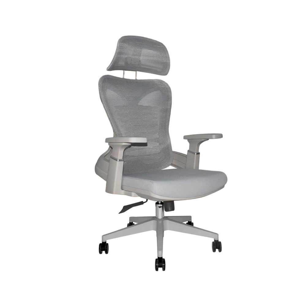 Silla de oficina Ofideas ergonómica Biox Premium, capacidad de carga máxima 125 kg, gris