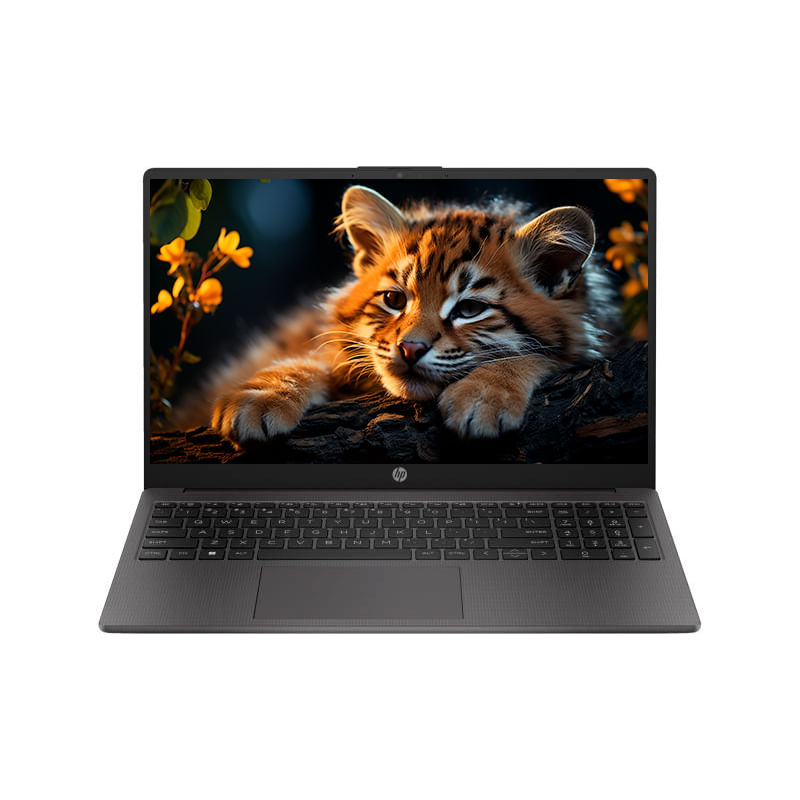 Laptop HP 250 G10 Ci3 N305, 8GB RAM, 256GB SSD, 15.6" LED, FreeDOS, gris HD-B83U6AT
