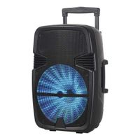 Reacondicionado: Parlante torre bluetooth Decibel, altavoces de 15"", 80W, USB, TWS, BT, FM, TF, control remoto y trípode