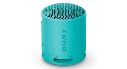 Sony Srs-Xb100
