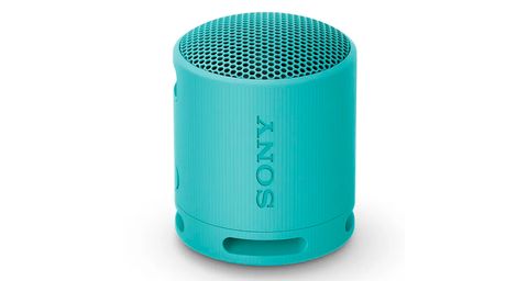 Sony Srs-Xb100