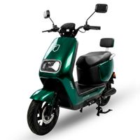Moto eléctrica Futur Tera 800W, batería de litio, autonomía hasta 45km, verde
