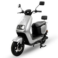 Moto eléctrica Futur Tera 800W, batería de litio, autonomía hasta 45km, gris