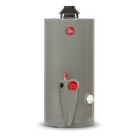 Termotanque Rheem, 76 litros, gas natural, triple sistema de seguridad, gris