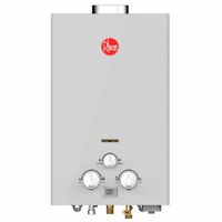 Terma a gas Rheem 10 litros, 2 puntos de abastecimiento, gris
