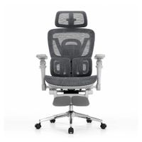 Silla ergonómica Haven E3 Pro Wing, doble respaldo lumbar, brazos 8D, posapiés, gris