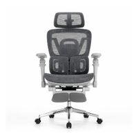 Silla ergonómica Haven S100 Pro Ultra, soporte lumbar dual, brazos 7D, posapiés, gris